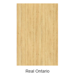 Serie 5 Real - Color 10
